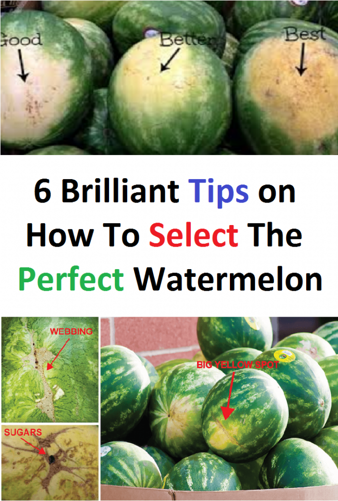 6 Brilliant Tips on How To Select The Perfect Watermelon