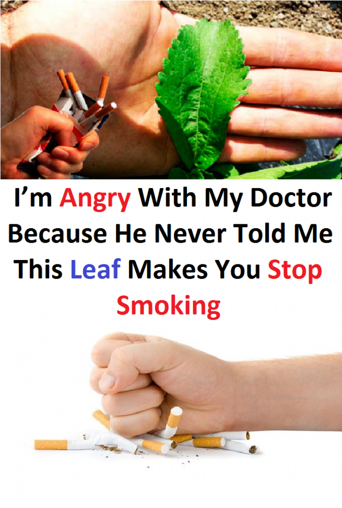 I’m Angry With My Doctor Because He Never Told Me This Leaf Makes You Stop Smoking