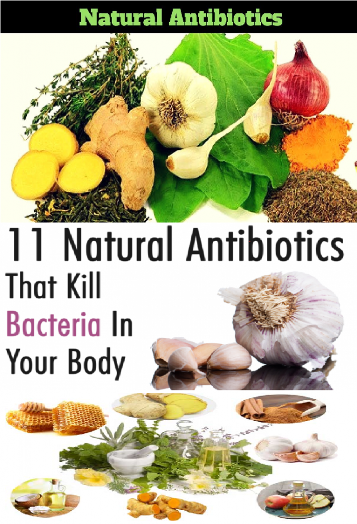 11 Natural Antibiotics That Kill Bacteria in Your Body
