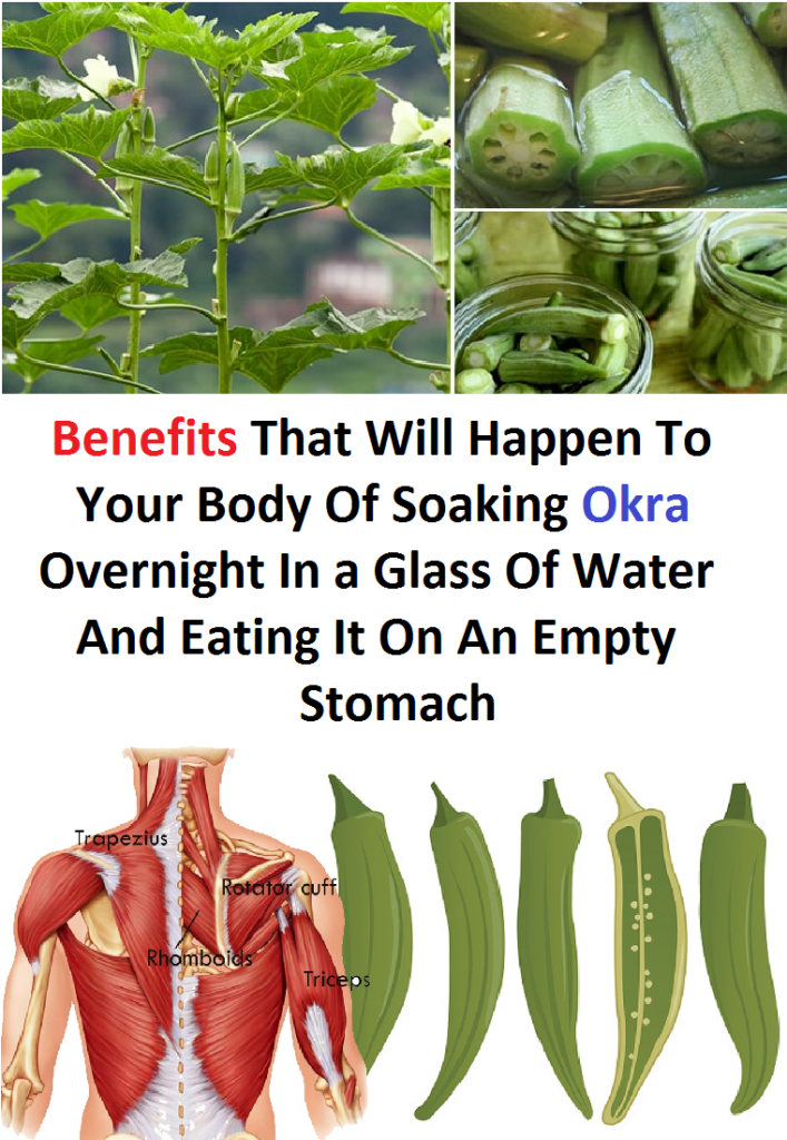 Benefits That Will Happen To Your Body Of Soaking Okra Overnight In a Glass Of Water And Eating It On An Empty Stomach