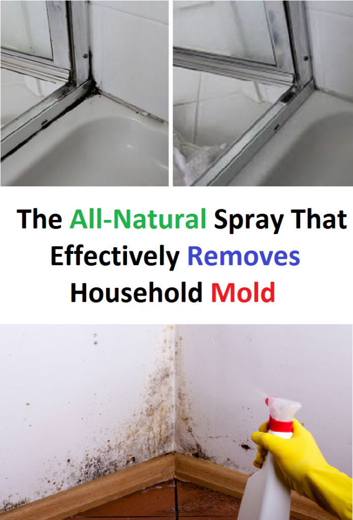 The All-Natural Spray That Effectively Removes Household Mold
